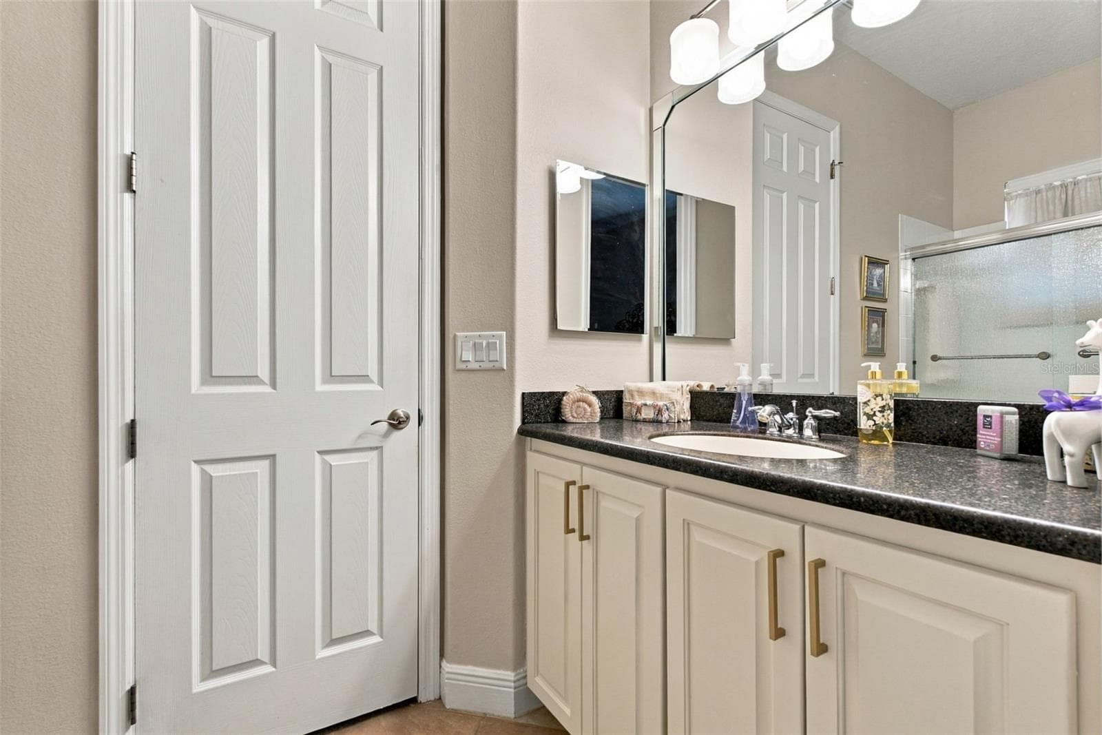 Jack-N-Jill Bathroom - 20203 CANE RIVER WAY, TAMPA