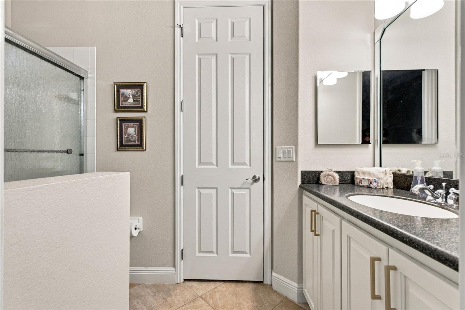 Jack-N-Jill Bathroom - 20203 CANE RIVER WAY, TAMPA