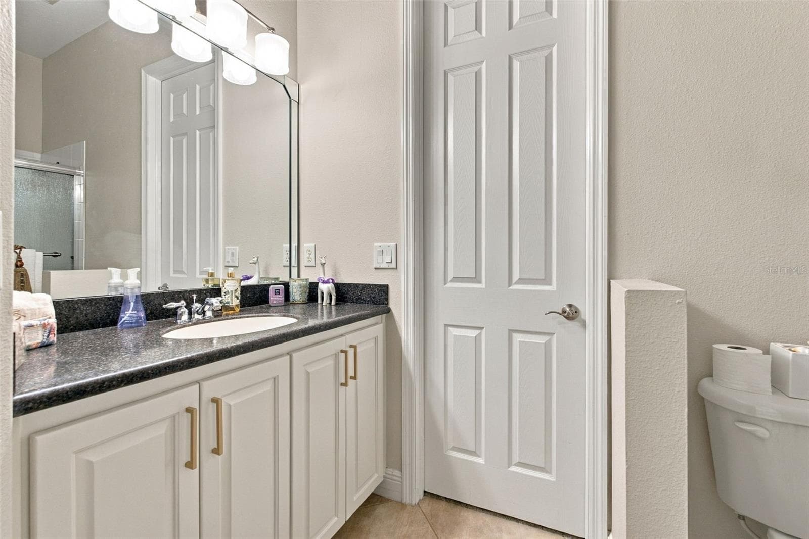 Jack-N-Jill Bathroom - 20203 CANE RIVER WAY, TAMPA