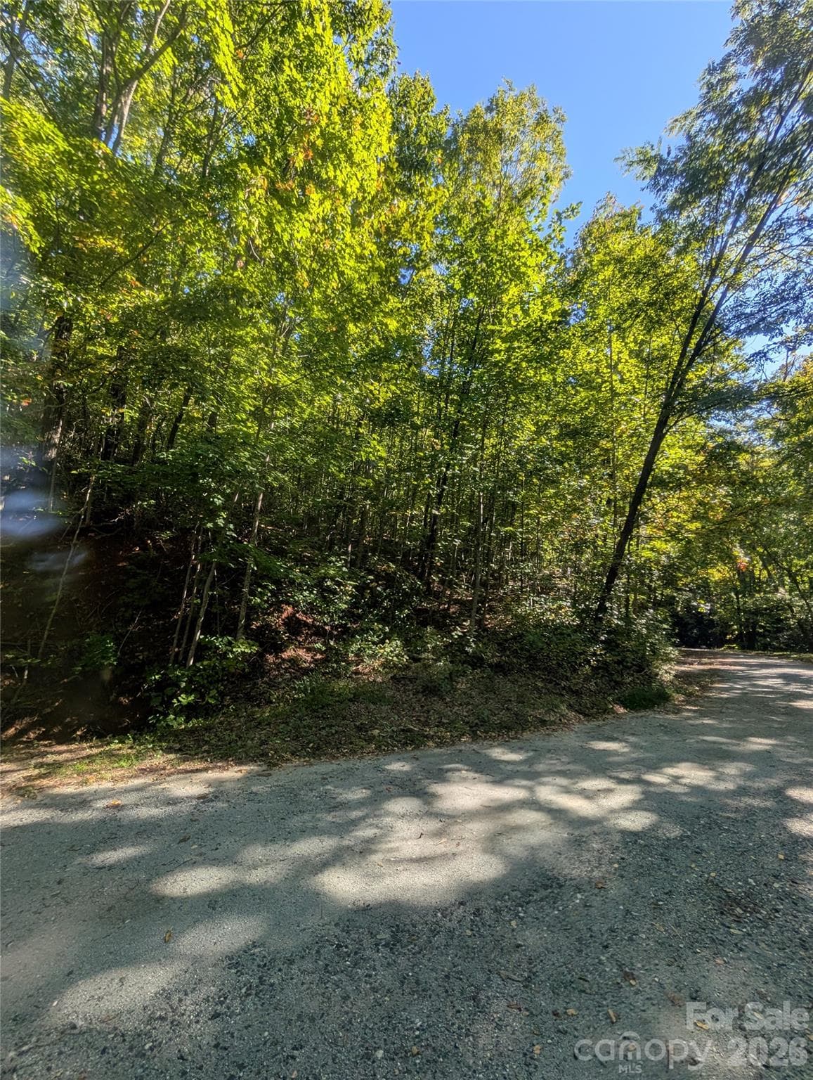 Lot at 0 Lakeview Drive, Tryon, photo 2 of 2