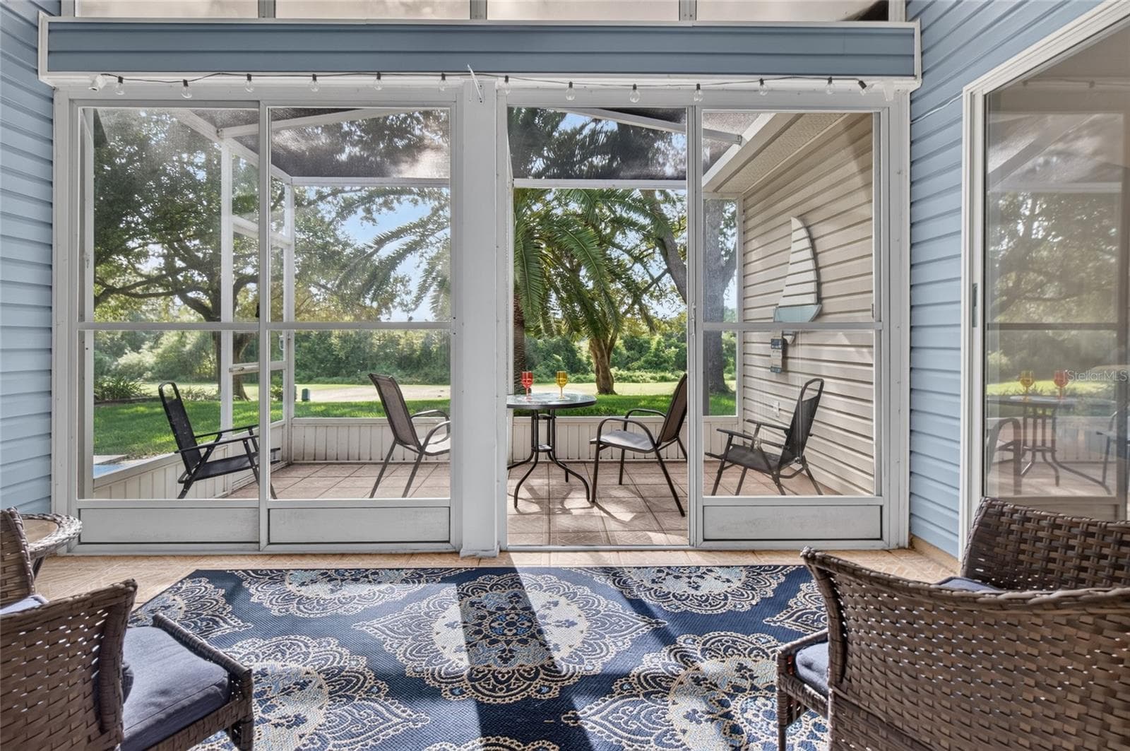 Lanai Do you see that magnificent palm tree? - 25005 CRANES ROOST CIR, LEESBURG