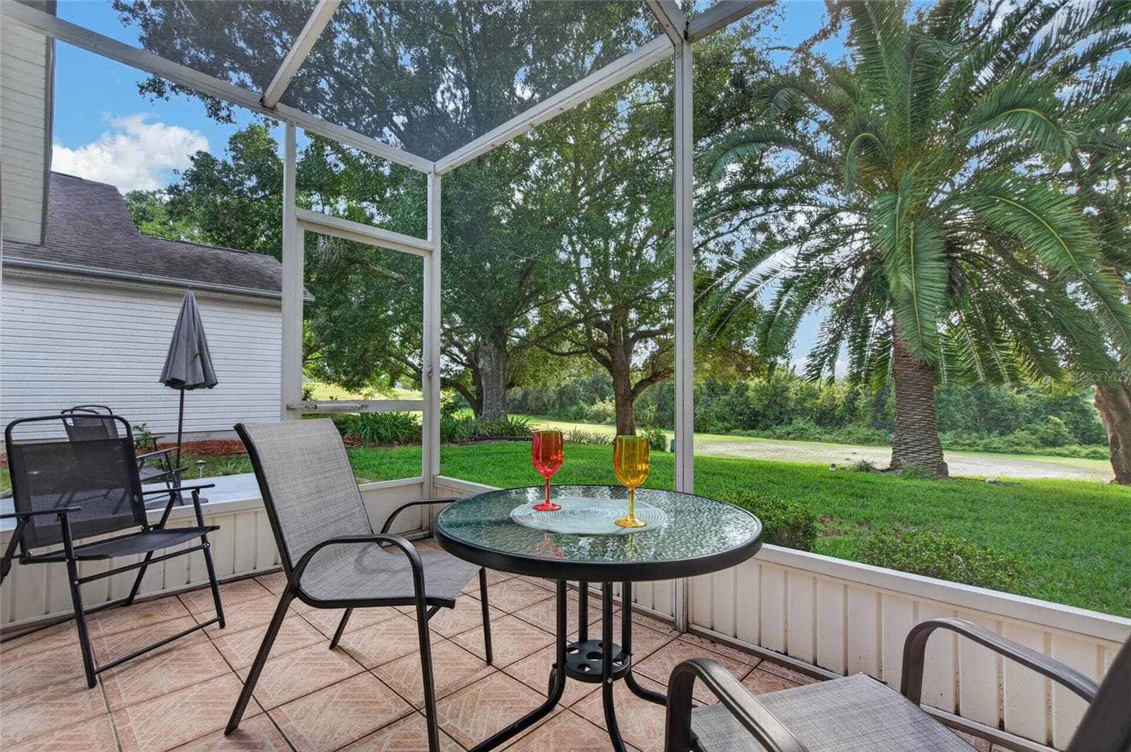 Private backyard with magnificent palm tree - 25005 CRANES ROOST CIR, LEESBURG