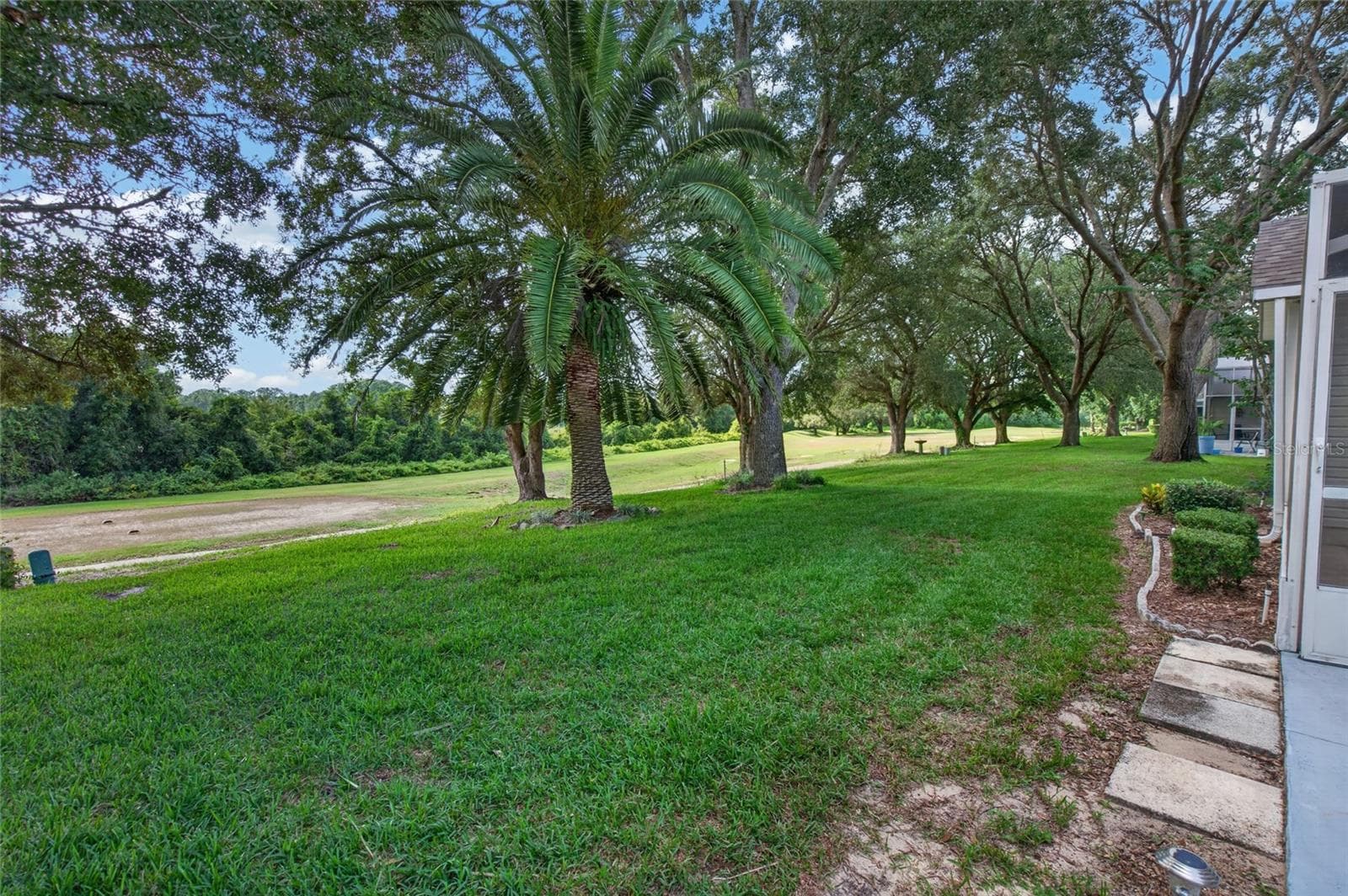 Fairway view - 25005 CRANES ROOST CIR, LEESBURG