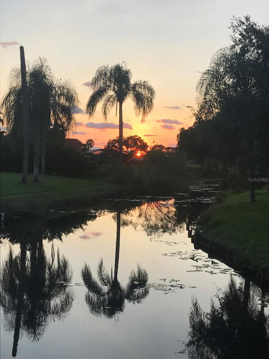 Sunset from back yard - 1010 MALIBU CT, VENICE