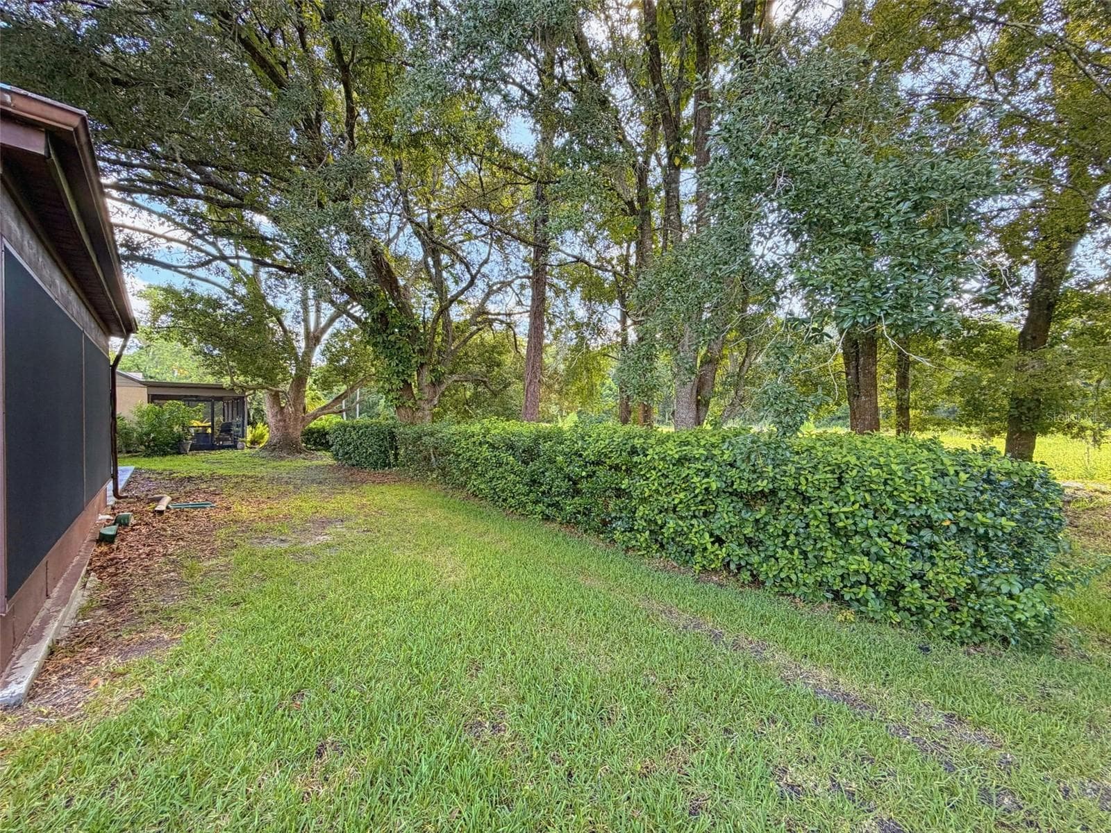 Back Yard - 7308 BALTUSROL DR, NEW PORT RICHEY