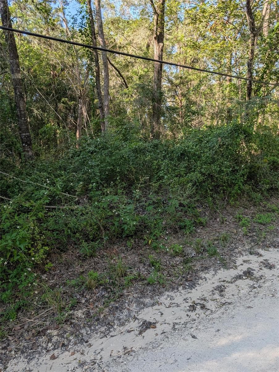 Land at 0 ARCHER LANE, ARCHER, photo 6 of 8