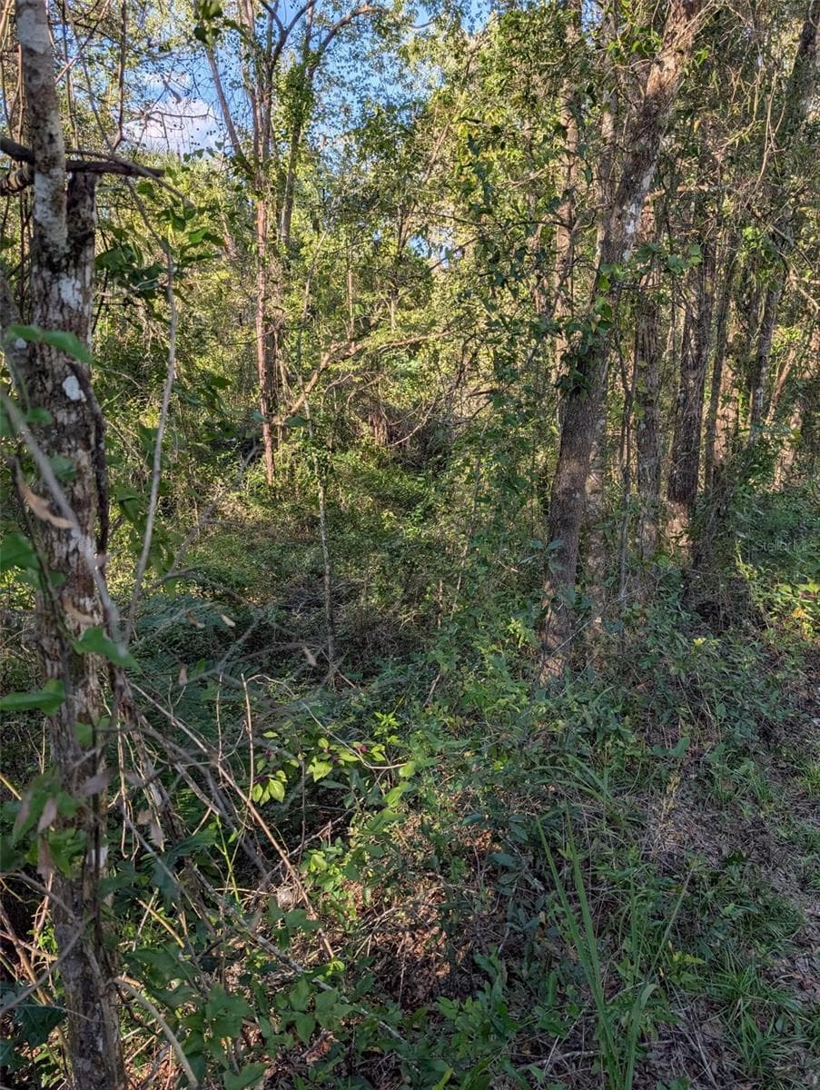 Land at 0 ARCHER LANE, ARCHER, photo 8 of 8