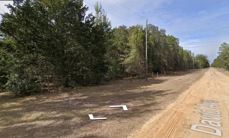 Land at DAVID AVE, INTERLACHEN, photo 3 of 3