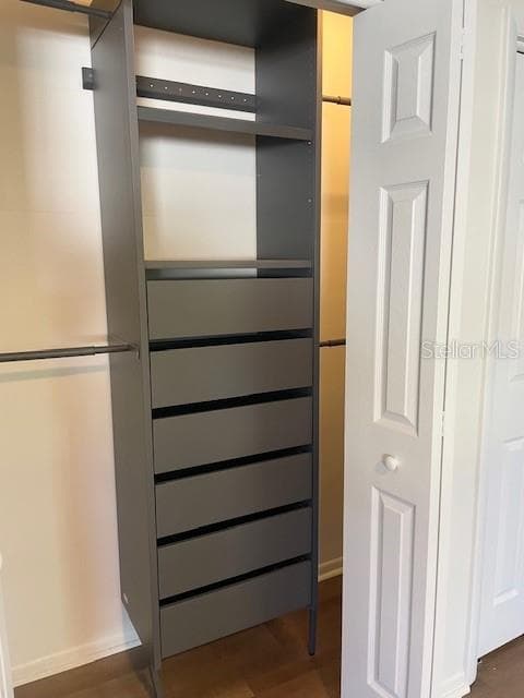 organizer closet in primary bedroom closet - 998 DUMONT DR, DUNEDIN
