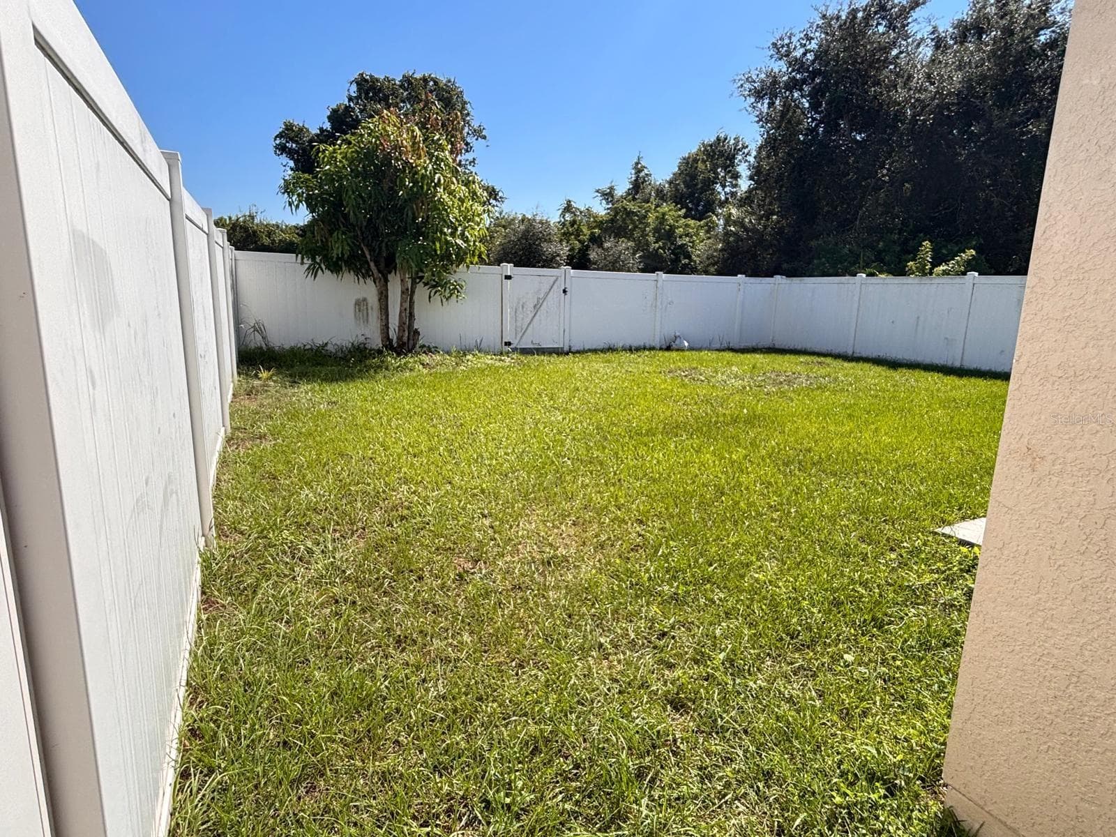 backyard - 7834 CARRIAGE POINTE DR, GIBSONTON