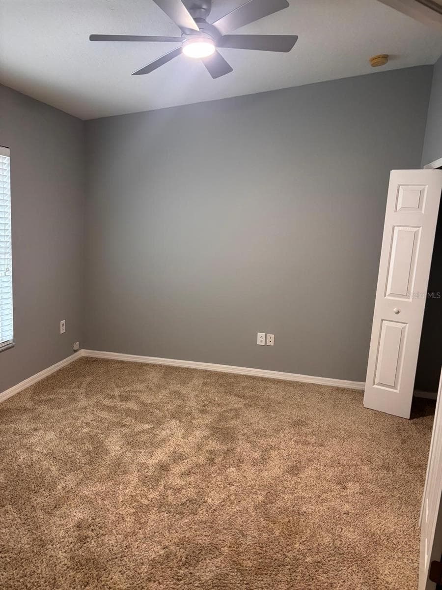 Room 3 - 7834 CARRIAGE POINTE DR, GIBSONTON