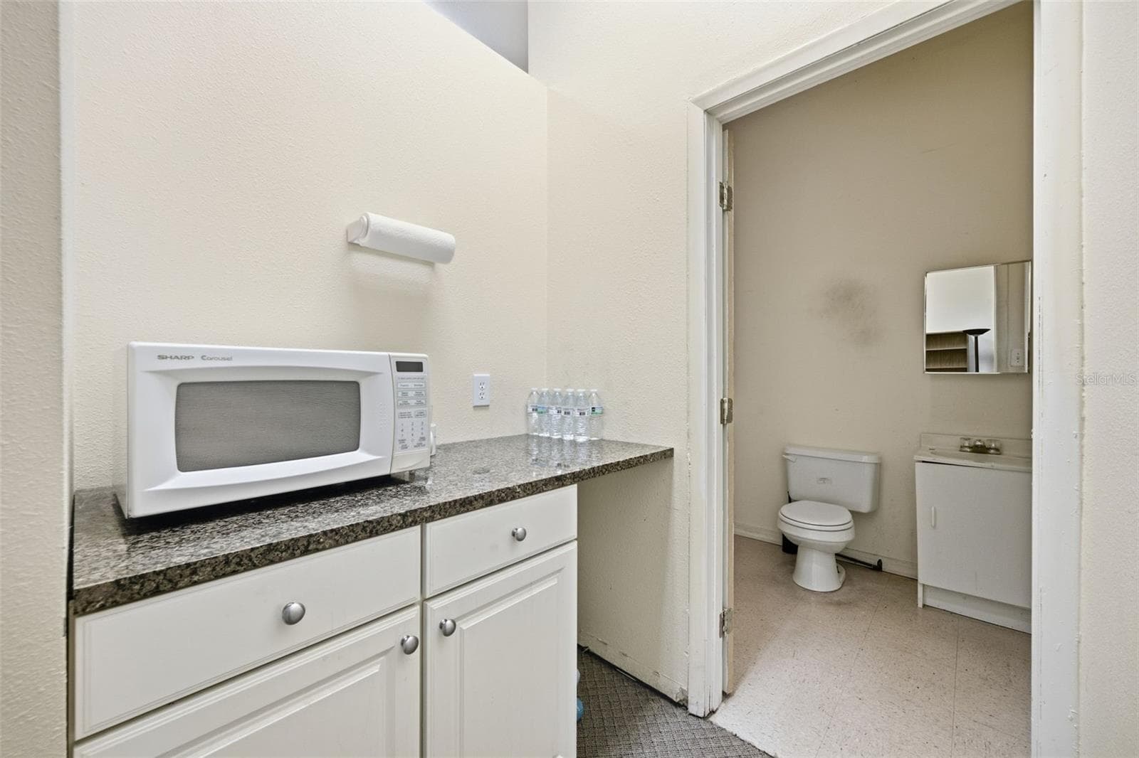 1/2 bath - 17501 LAKESHORE RD, LUTZ