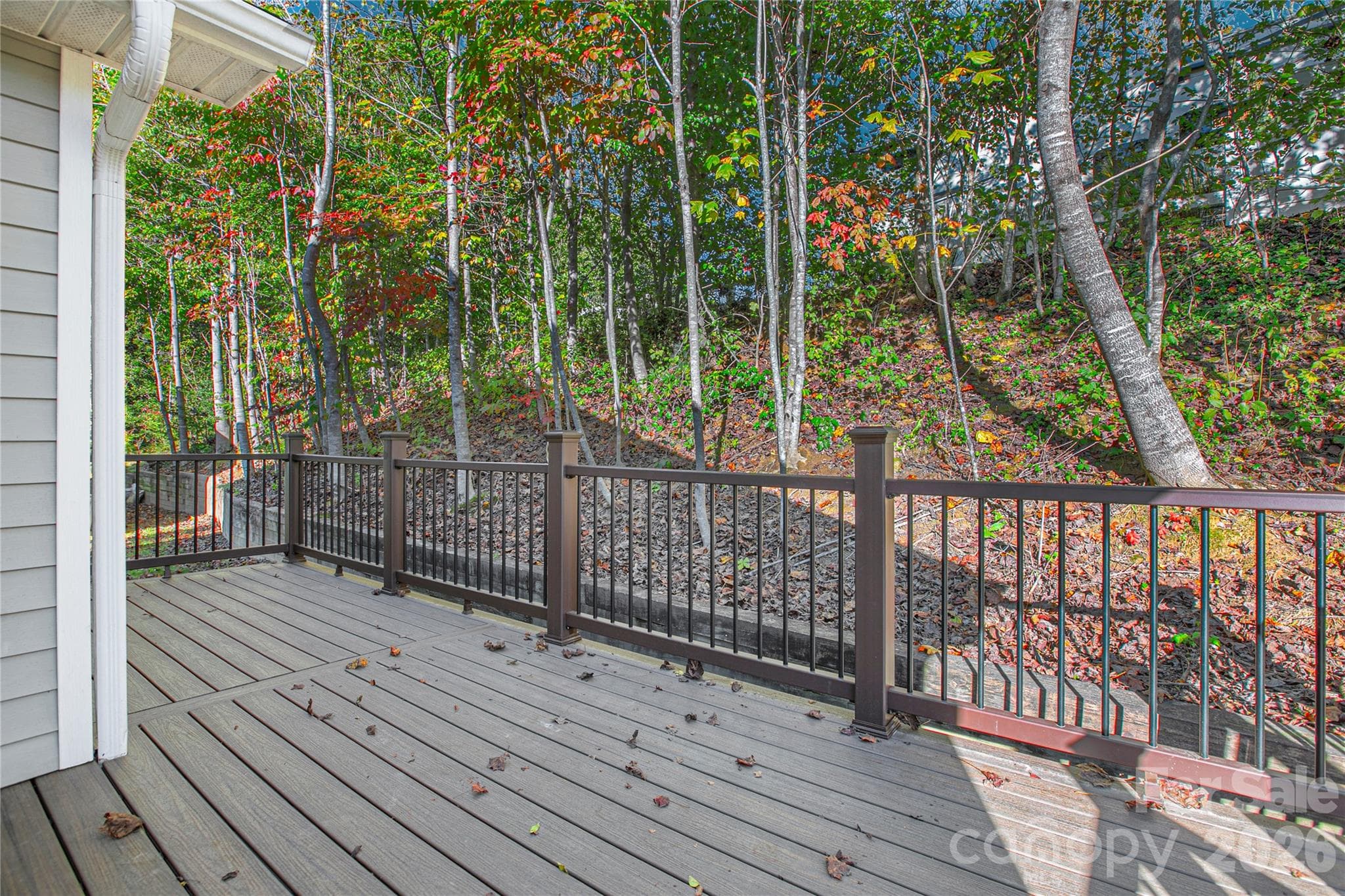 Single Family Residence at 88 E Danbury Lane, Brevard, photo 34 of 48