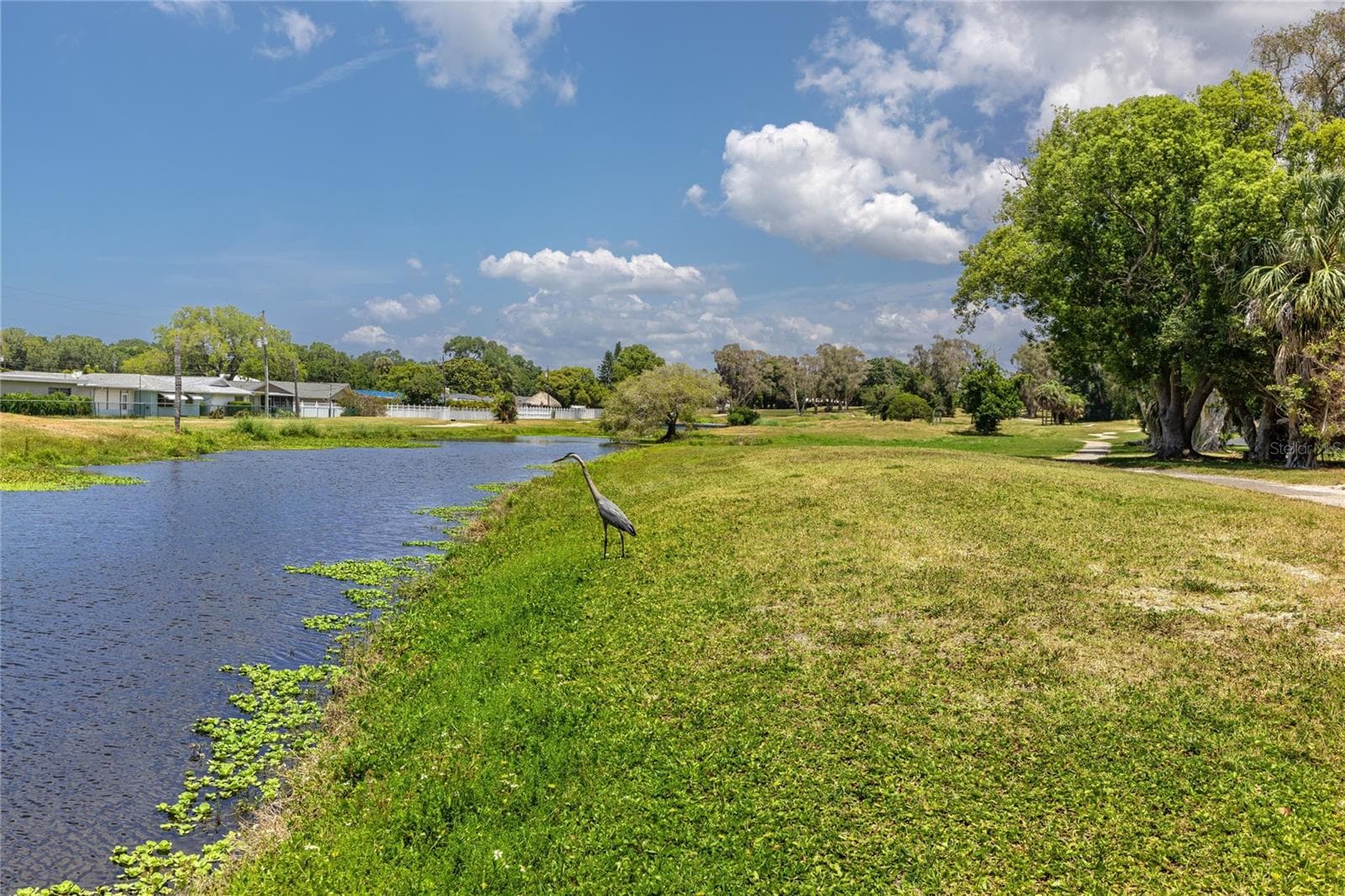 Condominium at 14460 MARINA WAY #11, SEMINOLE, photo 46 of 61