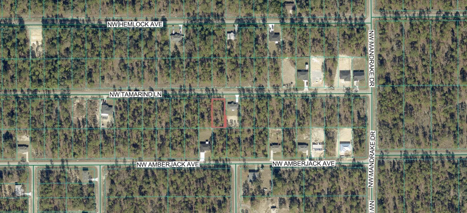 Land at TBD NW TAMARIND LN, DUNNELLON, photo 2 of 13