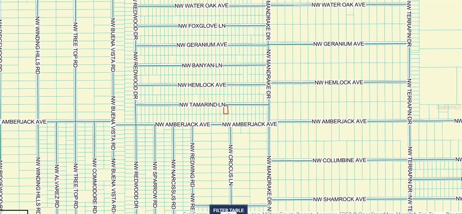 Land at TBD NW TAMARIND LN, DUNNELLON, photo 12 of 13