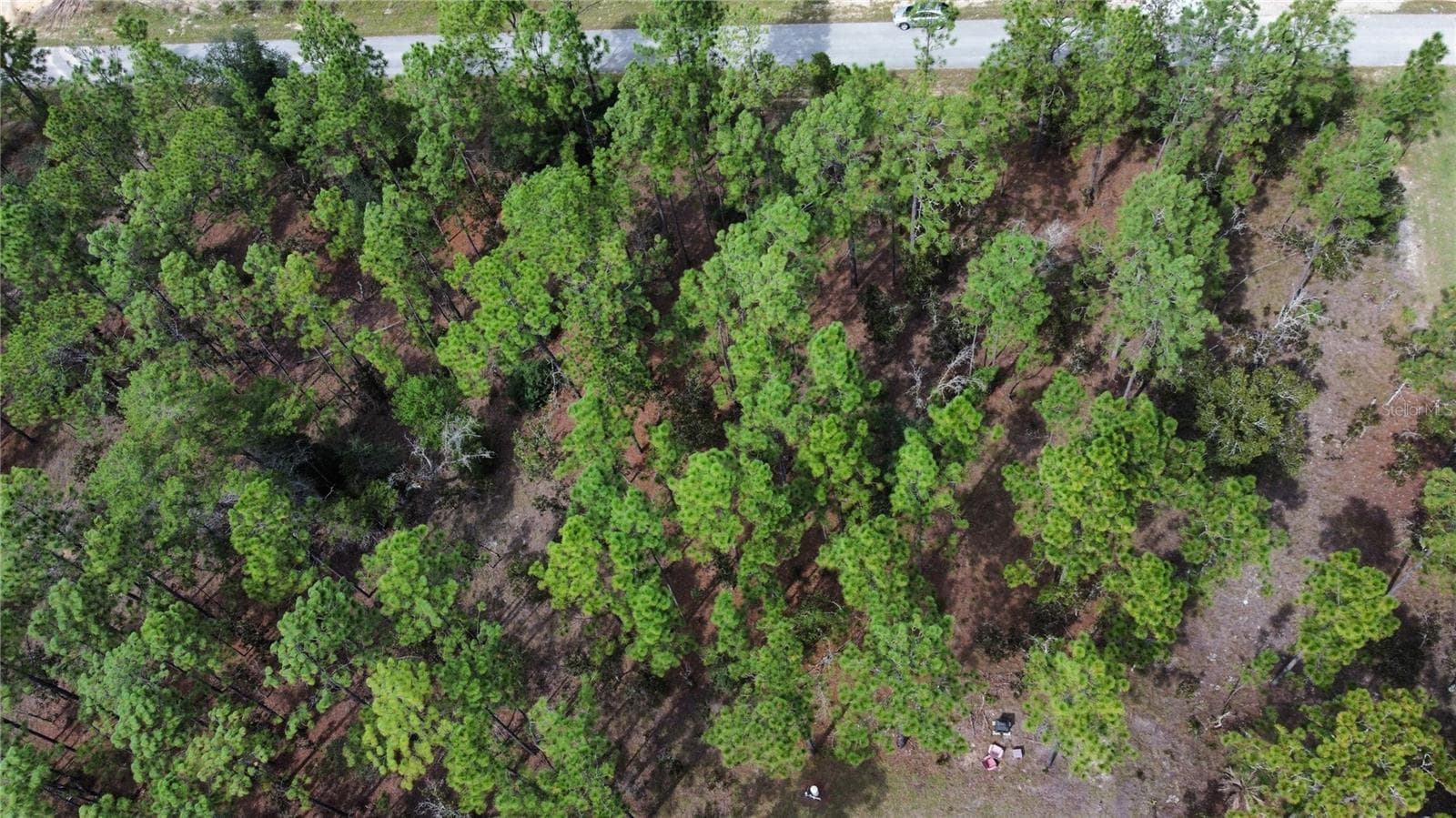 Land at TBD NW TAMARIND LN, DUNNELLON, photo 5 of 13
