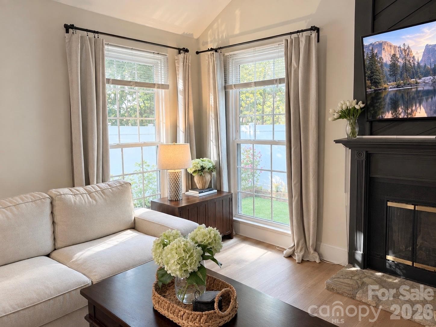 Living Room - 11101 Sevilla Court, Charlotte