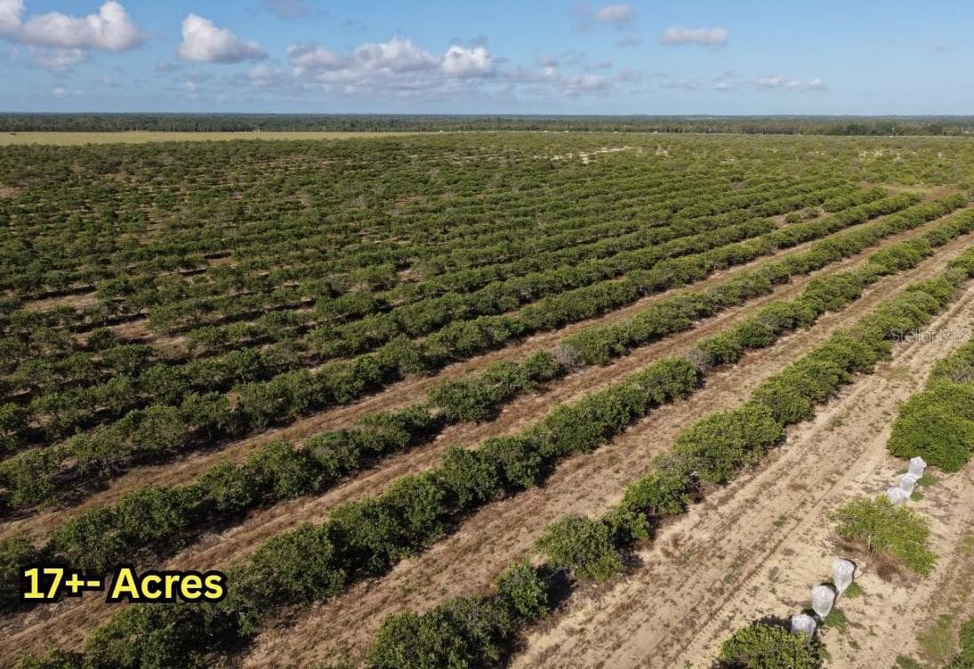 Land at 8961 COUNTY ROAD 17 S, SEBRING, photo 12 of 13