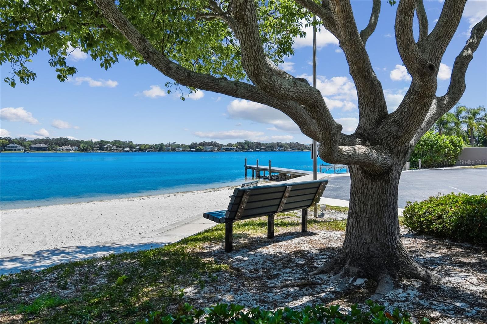 Private Beach - 10312 LAKE CARROLL WAY, TAMPA