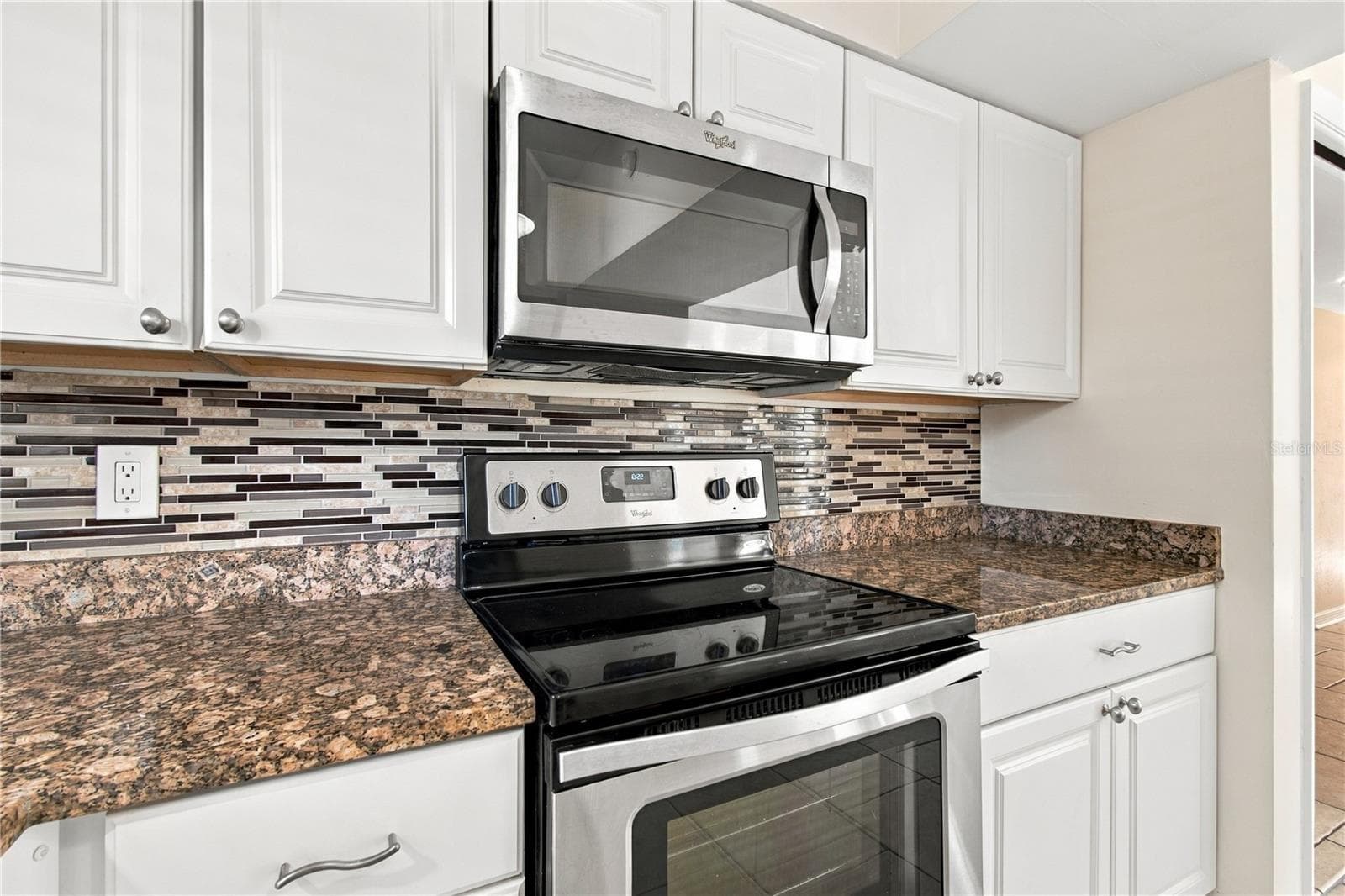 Single Family Residence at 10312 LAKE CARROLL WAY, TAMPA, photo 19 of 100