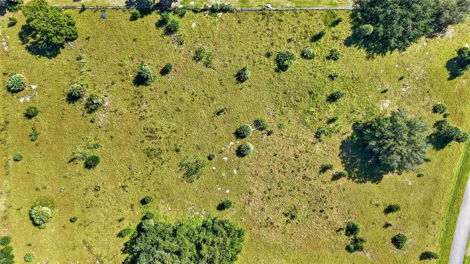 Land at 5508 NANTAHALA LN, LADY LAKE, photo 13 of 14