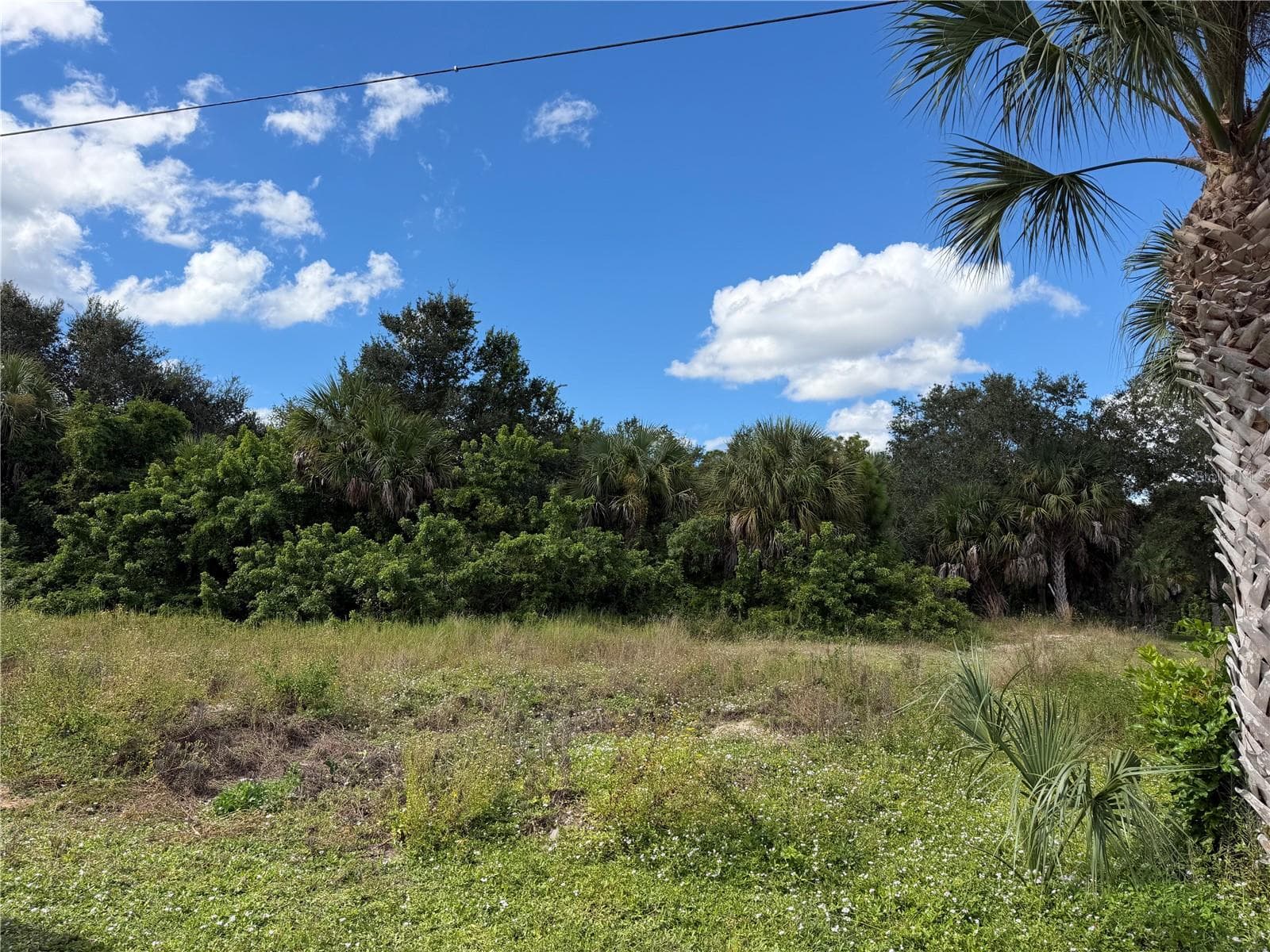 Land at 2265 CEDARWOOD ST, PORT CHARLOTTE, photo 3 of 10