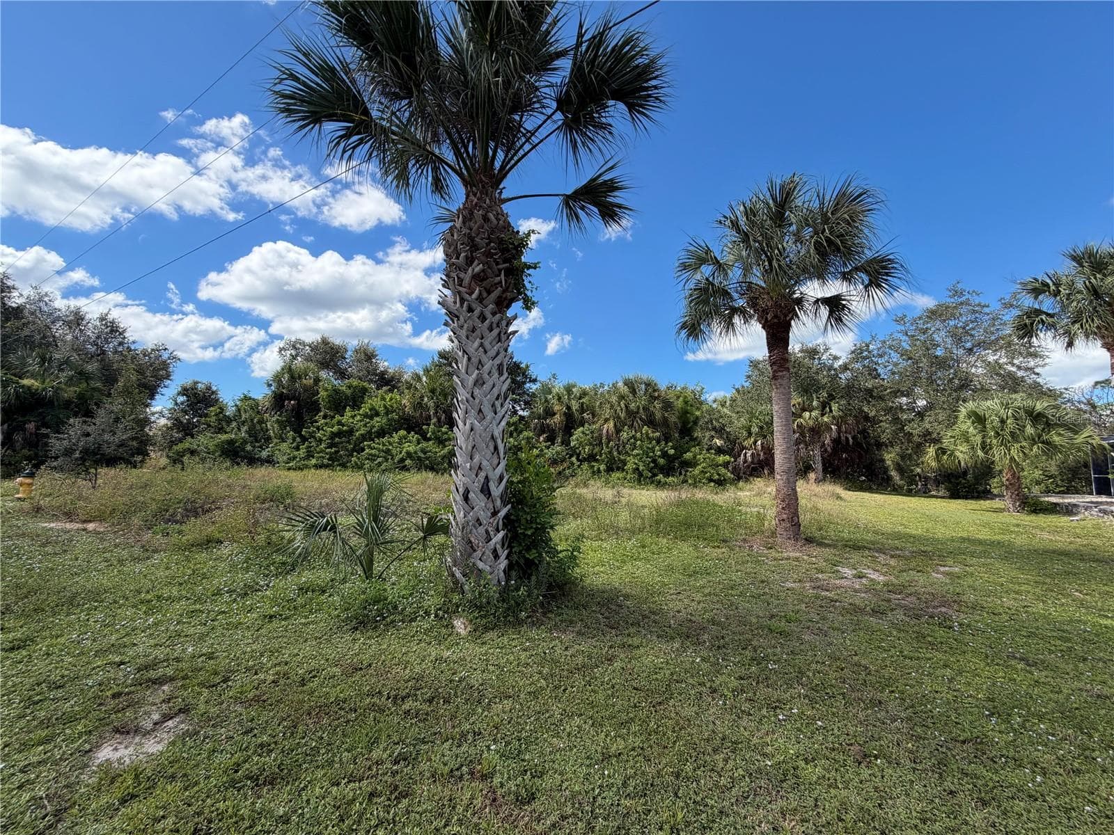 Land at 2265 CEDARWOOD ST, PORT CHARLOTTE, photo 5 of 10