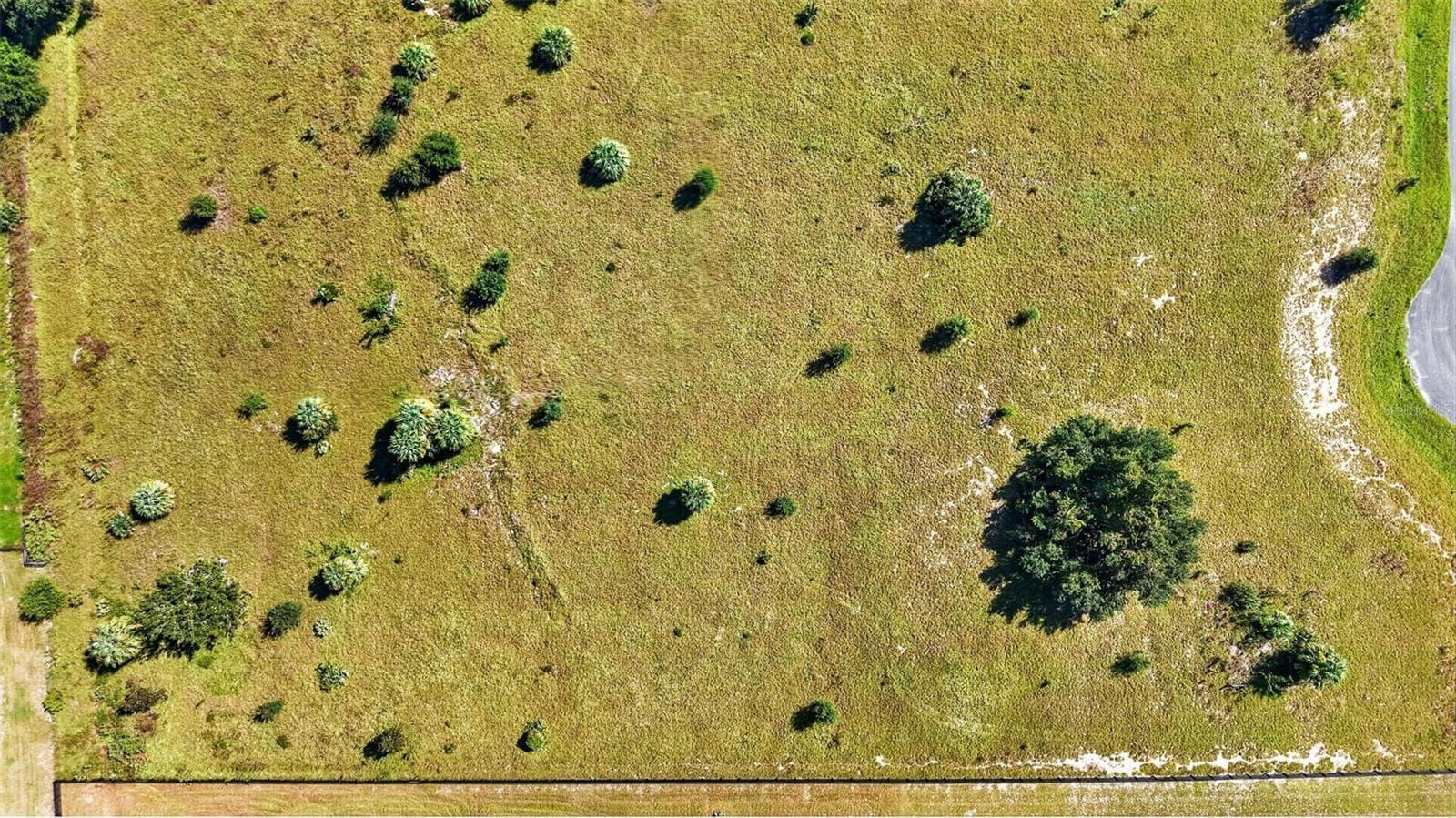 Land at 5304 NANTAHALA LN, LADY LAKE, photo 7 of 15