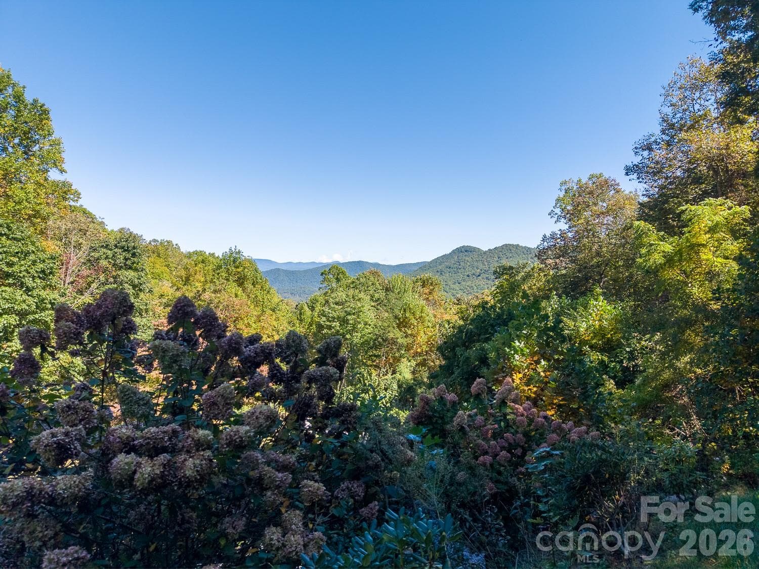Single Family Residence at 185 Paseos Drive, Cullowhee, photo 21 of 21