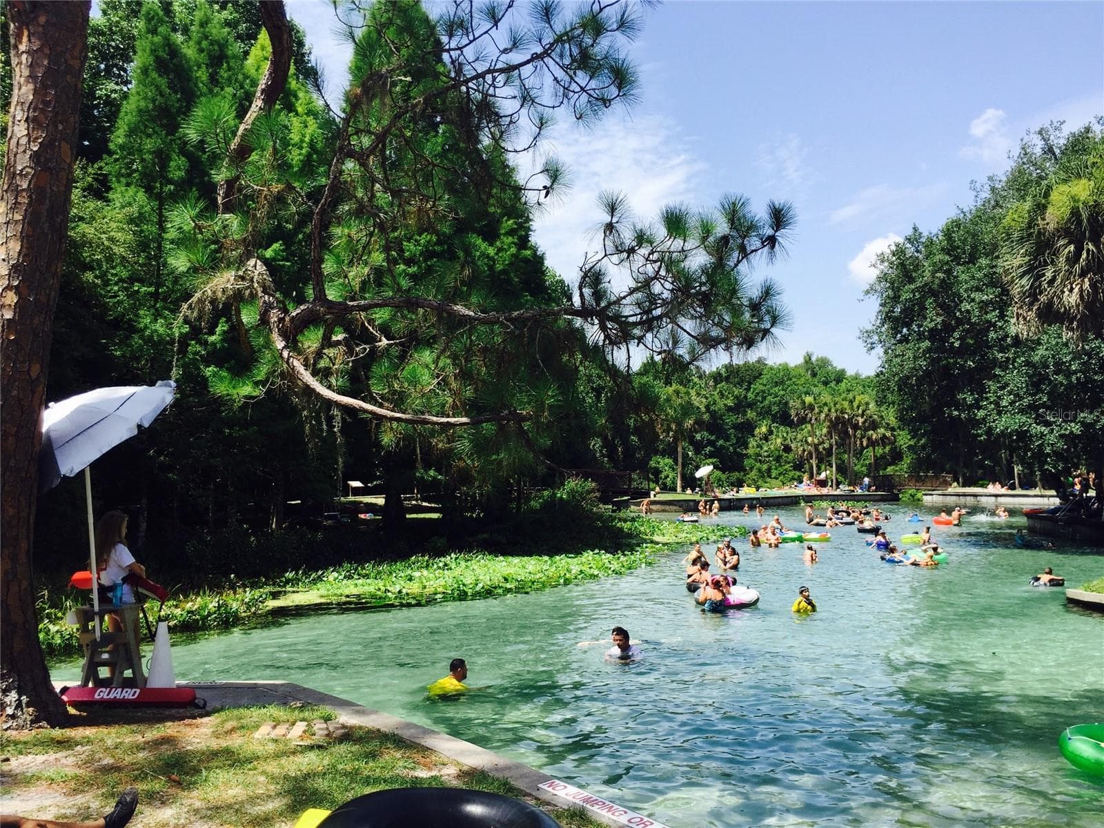 Kelly Park - 4410 PINE GOLD AVE, APOPKA