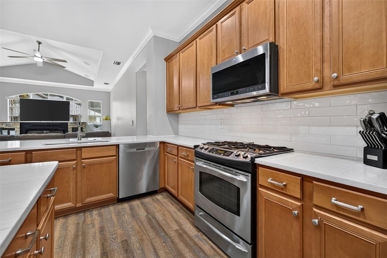 Single Family Residence at 15714 IBISRIDGE DR, LITHIA, photo 11 of 59