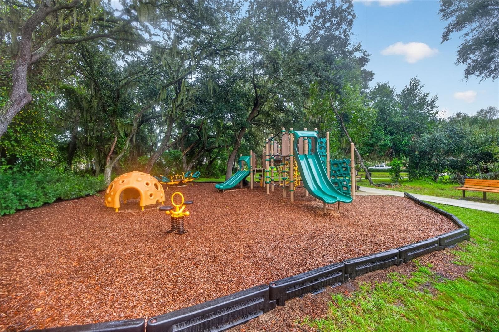 Single Family Residence at 15714 IBISRIDGE DR, LITHIA, photo 48 of 59