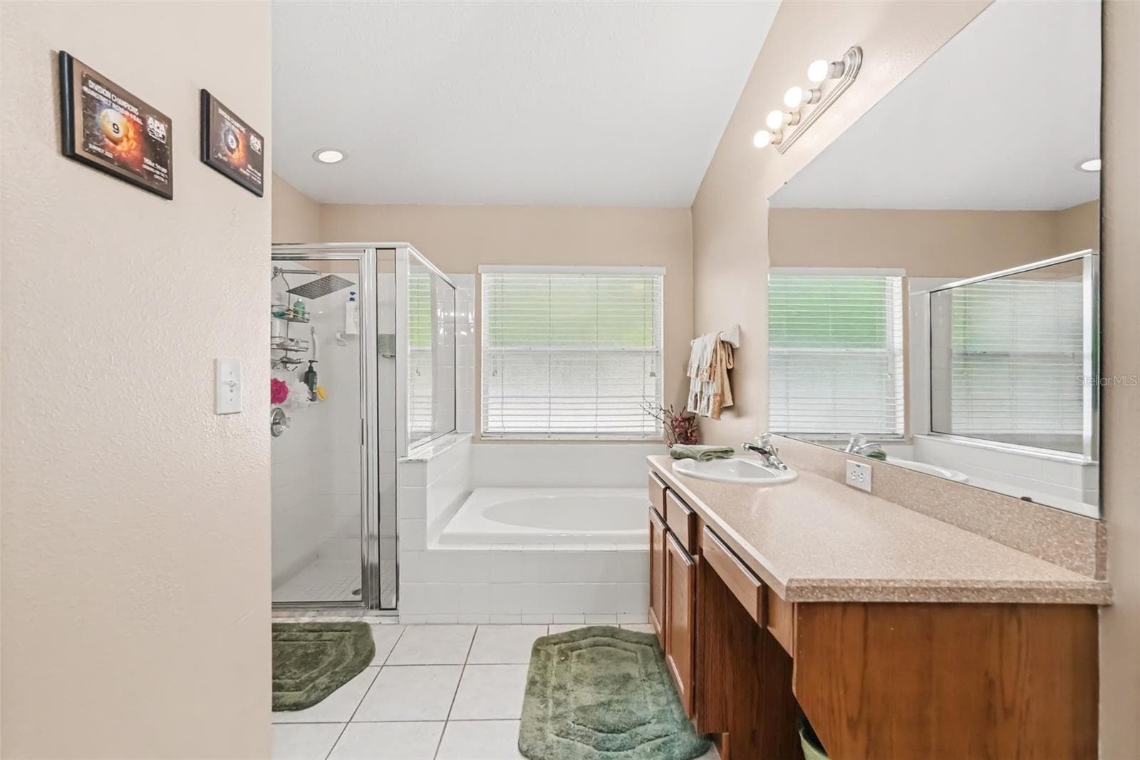 Single Family Residence at 6805 BLUFF MEADOW CT, WESLEY CHAPEL, photo 9 of 19