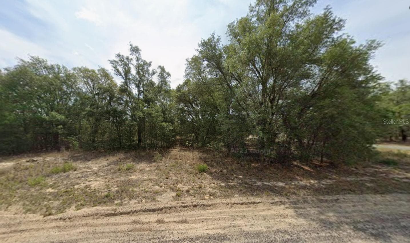 Land at 6371 N CORAL LILY DR, CITRUS SPRINGS, photo 2 of 5