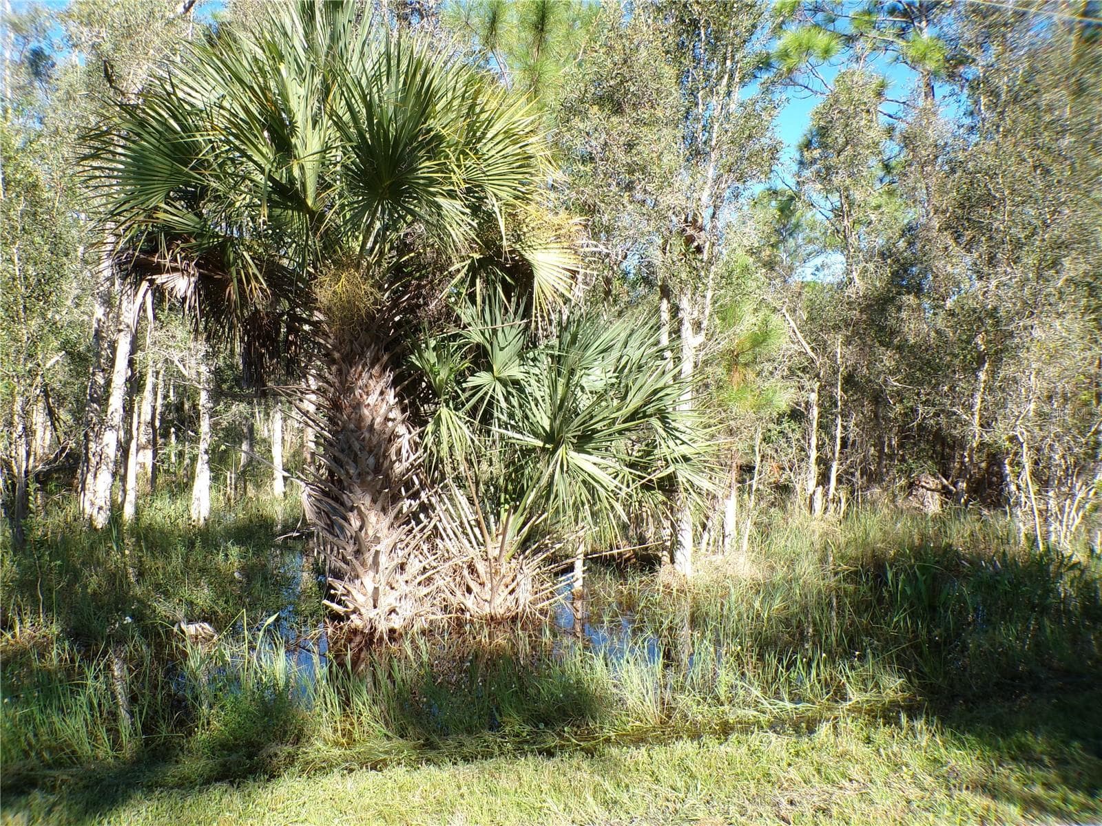 Land at 12213 RIPPLE DR, PUNTA GORDA, photo 9 of 27