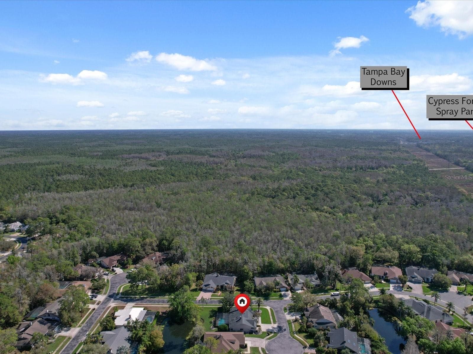 Single Family Residence at 10 WINDRUSH CT, OLDSMAR, photo 47 of 55
