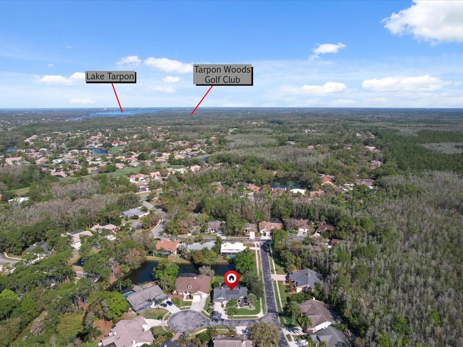 Single Family Residence at 10 WINDRUSH CT, OLDSMAR, photo 50 of 55