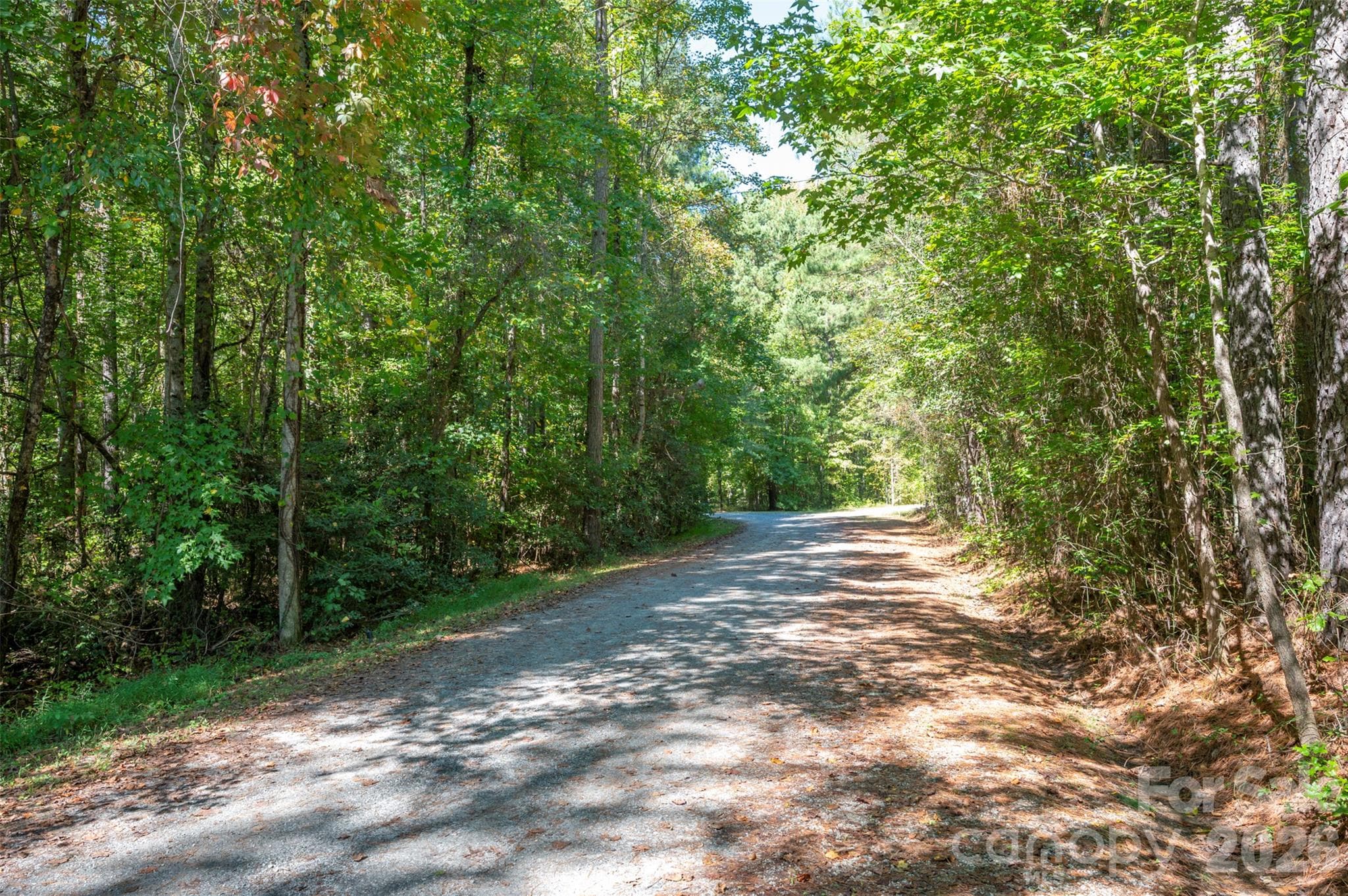 Acreage at 0 Laurel Knoll Trail, Landrum, photo 2 of 19