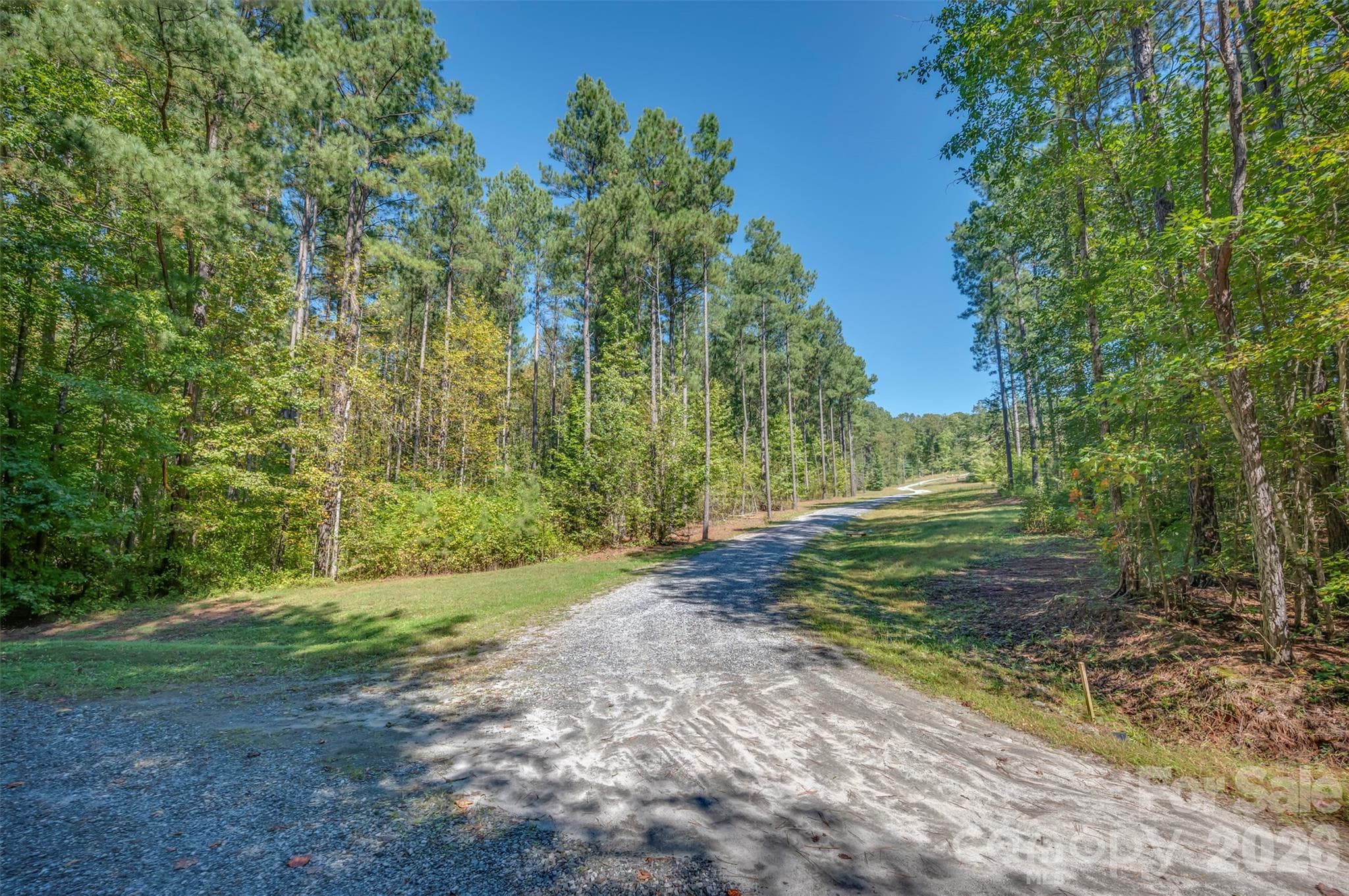 Acreage at 0 Laurel Knoll Trail, Landrum, photo 4 of 19