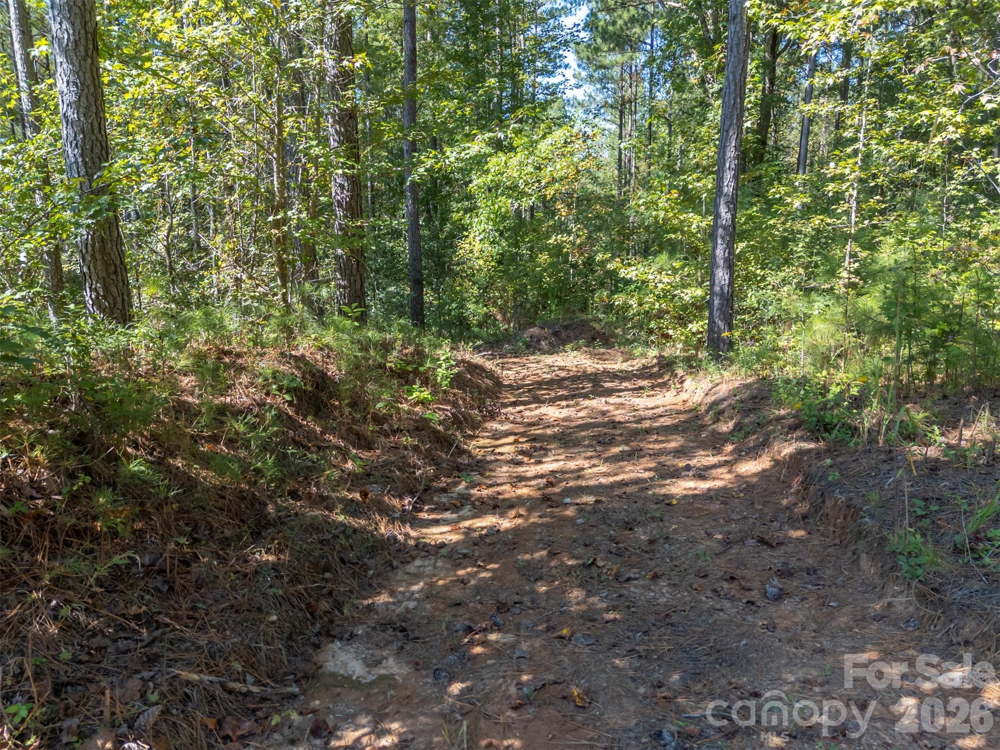 Acreage at 0 Laurel Knoll Trail, Landrum, photo 13 of 19