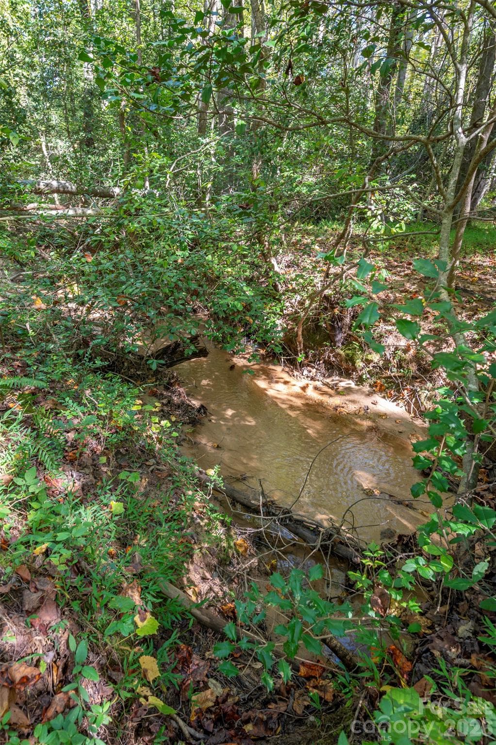 Acreage at 0 Laurel Knoll Trail, Landrum, photo 14 of 19