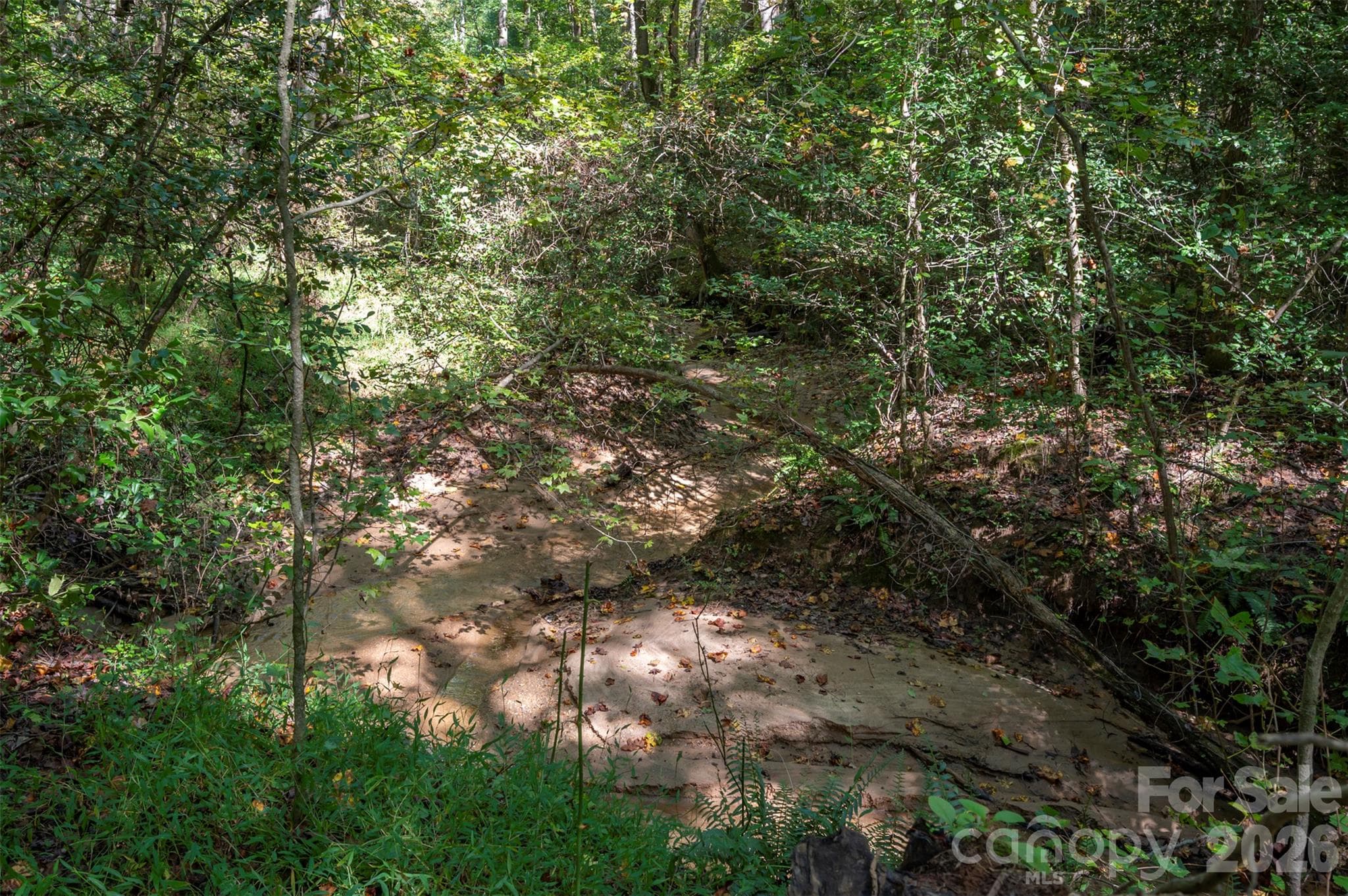 Acreage at 0 Laurel Knoll Trail, Landrum, photo 15 of 19