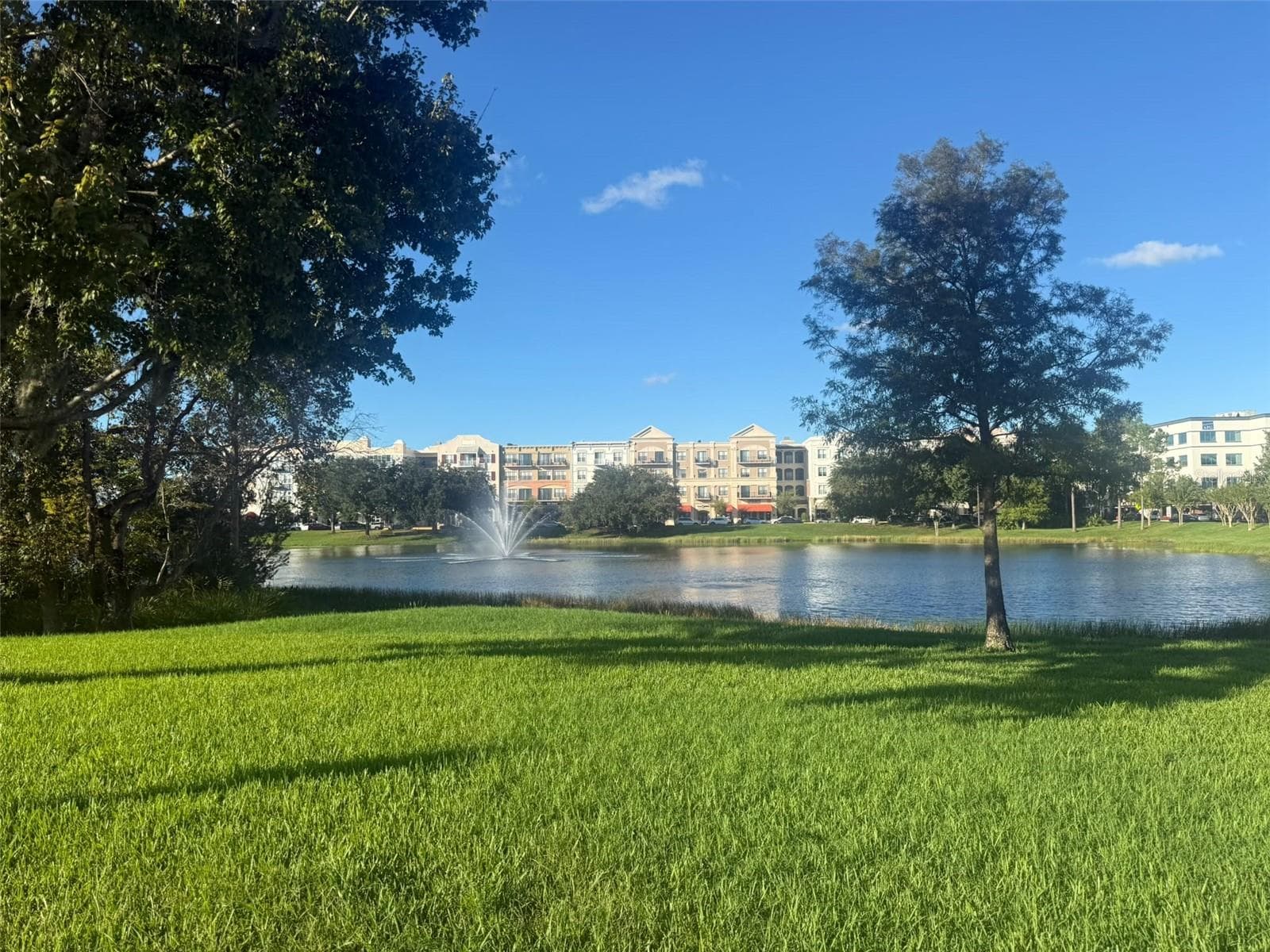 Single Family Residence at 14167 BRADBURY RD, ORLANDO, photo 55 of 58