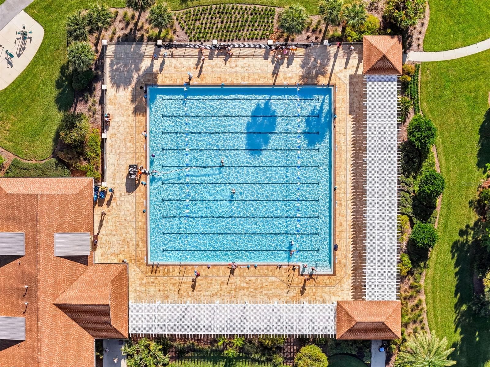 Everglades Sports Pool - 5916 HICKEY WAY, THE VILLAGES