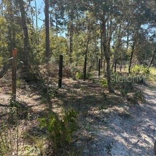 Land at SW 92ND  PLACE, DUNNELLON, photo 3 of 11