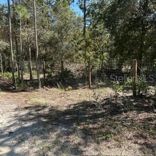 Land at SW 92ND  PLACE, DUNNELLON, photo 9 of 11