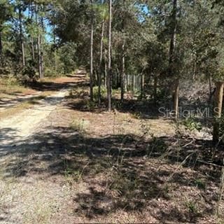 Land at SW 92ND  PLACE, DUNNELLON, photo 10 of 11