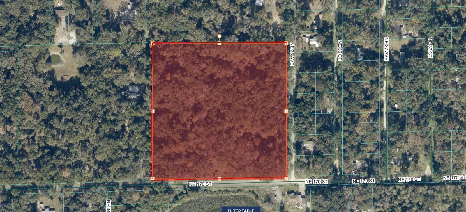 Land at TBD NE 170TH ST, CITRA, photo 4 of 4