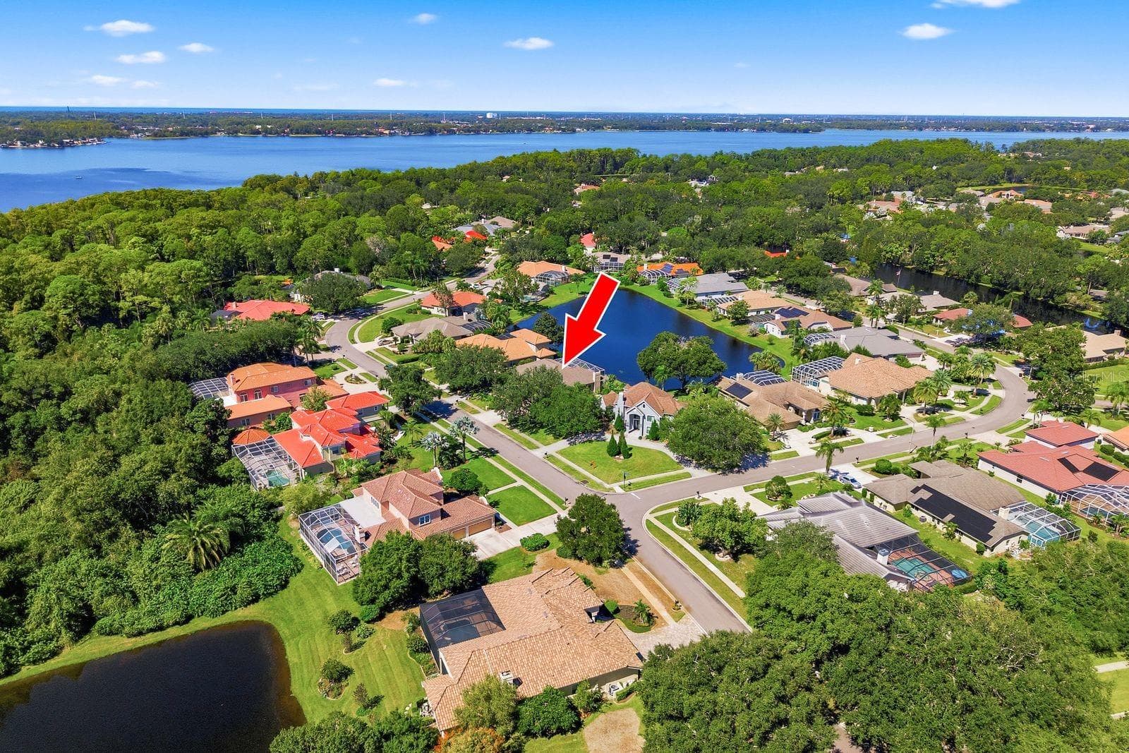 Single Family Residence at 3763 EXECUTIVE DR, PALM HARBOR, photo 4 of 100